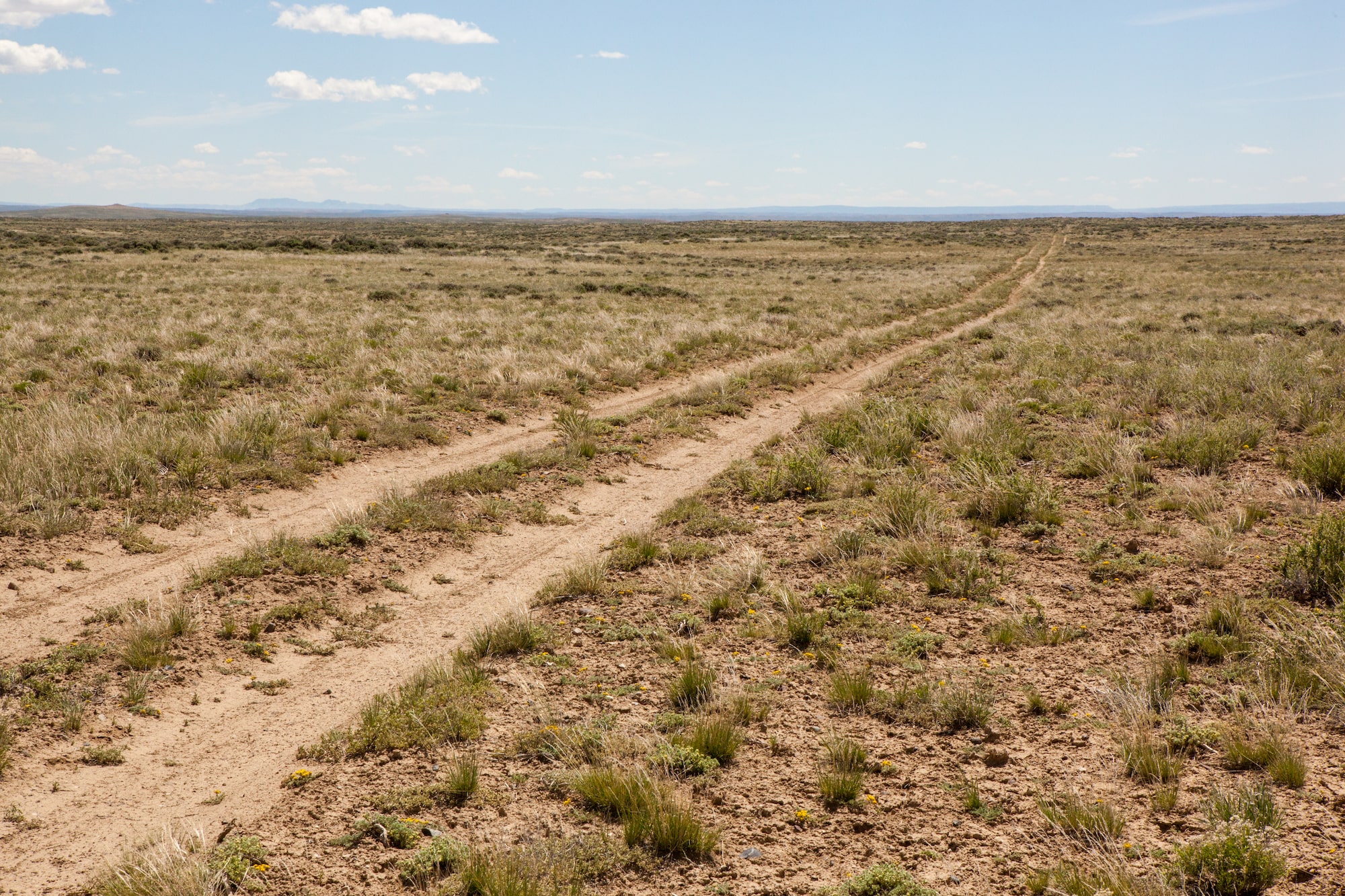 Country road track scrubland landscape