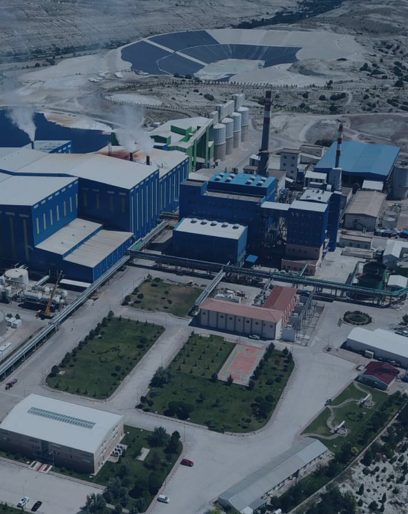 eti plant from the sky
