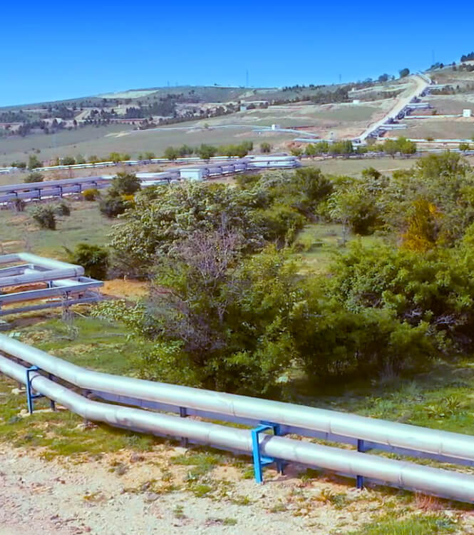 Our Business | WE Soda